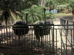 -泉州海丝野生动物世界