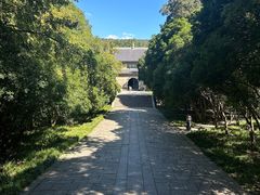 -灵谷景区
