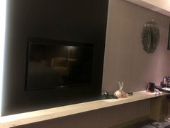 -南京禄口机场雅高铂尔曼大酒店
