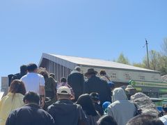 -青藏高原野生动物园
