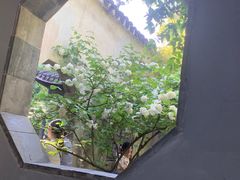 -惠山古镇·寄畅园