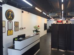 -温鉴良实用咏春拳