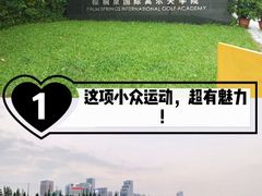 -棕榈泉国际高尔夫学院