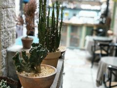 -杨桃院子旅馆(厦门鼓浪屿中华红墨店)