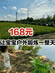 点击看大图 -麦粒鸟亲子游