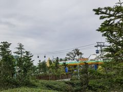 -上海海昌海洋公园