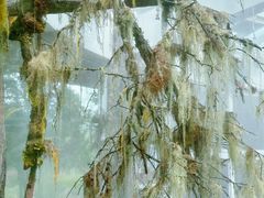 -昆明植物园
