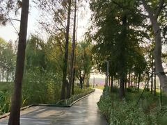 -长广溪湿地公园