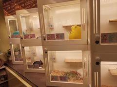 -龙猫仔乐园(惠福东路店)