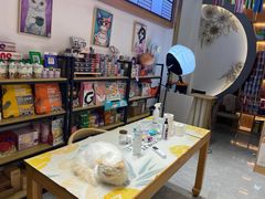 -山宅一喵德文卷毛猫舍