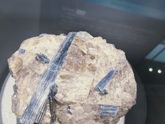 -湖南省地质博物馆