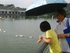 android_upload_pic-杭州世外桃源君澜度假酒店