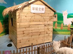 -巴克创奇梦工厂
