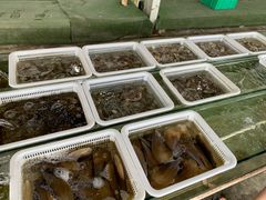 -红月湾海鲜饭店•沙滩海景(双月湾店)
