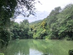 -井塘古村