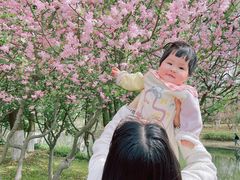 -白塘生态植物园