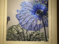 -茶花妹子云南餐厅(北大店)