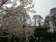 -堤角公园
