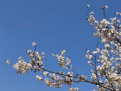 -南京市江宁方山