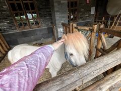 -巴倒烫陆派火锅山庄(南山总店)