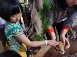 -酷嗒动物文化乐园(cutezoo西溪乐天城店)