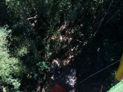 -清迈丛林飞跃 JungleFlight
