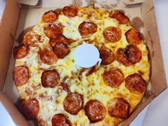 -达美乐比萨(国瑞北路店)