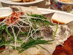 -阿西娅食府(中关村店)