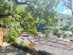 -杨家堂村