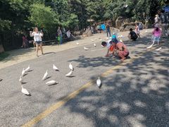 -燕塞湖鸟语林景区