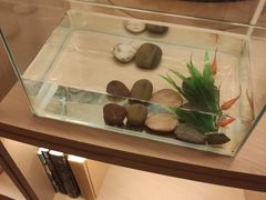 -御海8号温泉酒店