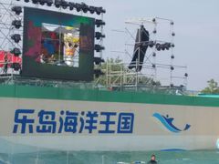 -秦皇岛乐岛海洋王国