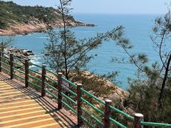 -广东惠东海龟国家级自然保护区