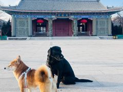 -天津妈祖文化园