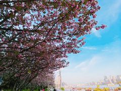 -北外滩滨江绿地