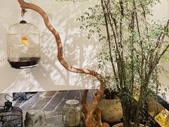 -淮扬府·游园京梦(北京SKP店)