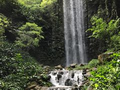 -新加坡飞禽公园