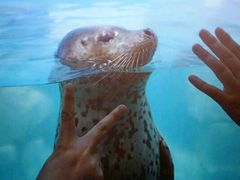 -多彩贵州城极地海洋世界