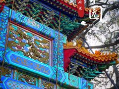 -颐和园