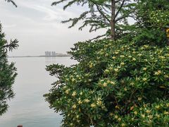 -艾溪湖湿地公园