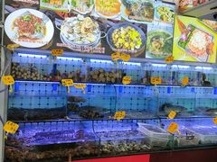 水产区-日照大牌檔•小船海鲜(万平口店)