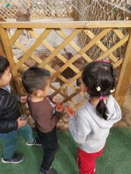 -萌宠亲子动物乐园(槐房万达店)