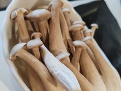 -潮发潮汕牛肉店(永庆坊店)