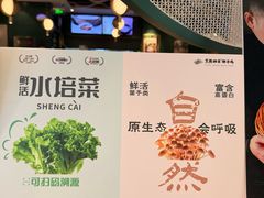-烹然四季椰子鸡火锅(姚家园万象汇店)