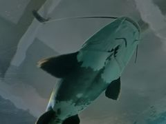 -苏州海洋馆