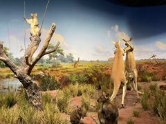 -陕西自然博物馆