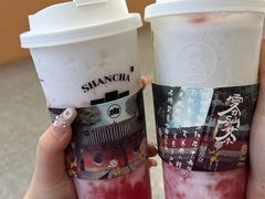 -雾与山茶(大禹城店)
