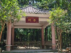 -东莞市大岭山森林公园