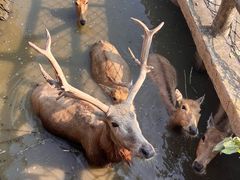 -宁波杭州湾国家湿地公园