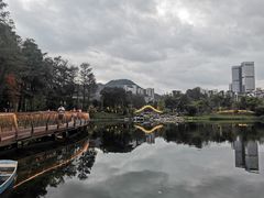 -四海公园(南山区)